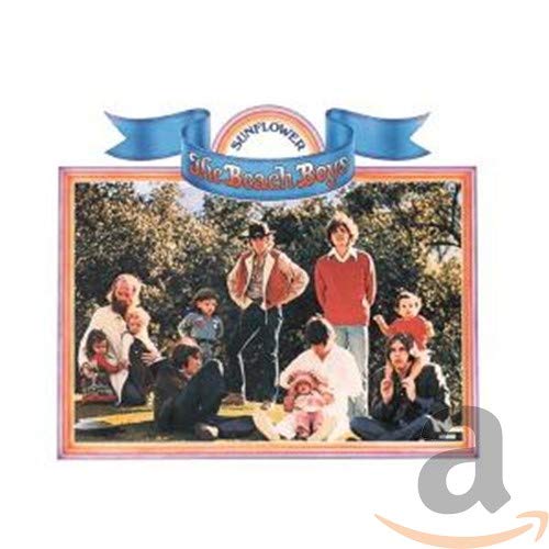 album the beach boys