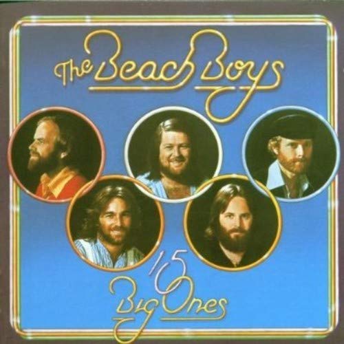 album the beach boys