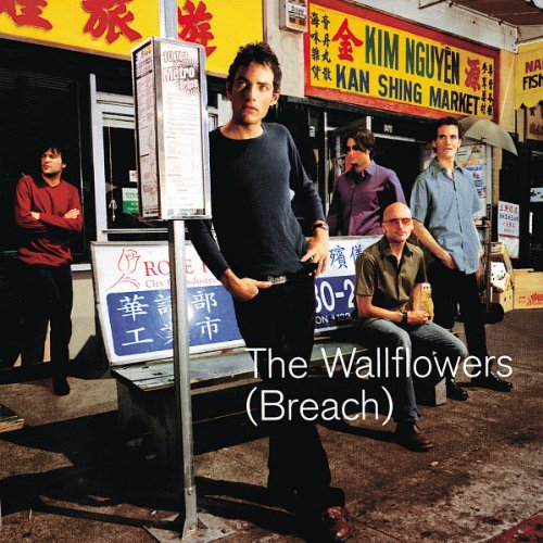 album the wallflowers