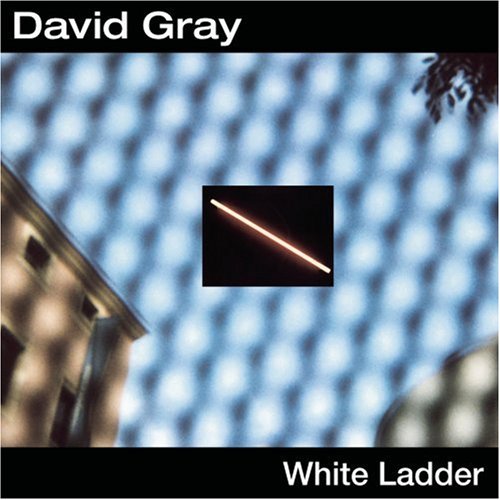 album david gray