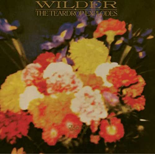 album the teardrop explodes