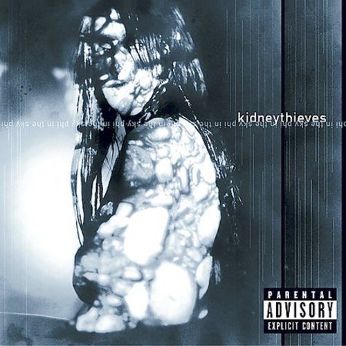 album kidneythieves