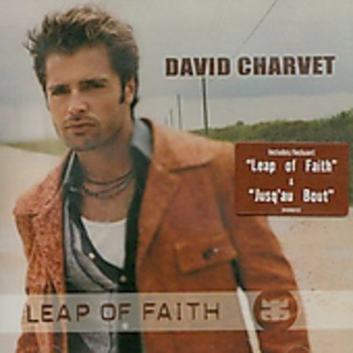 album david charvet