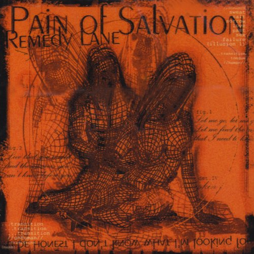 album pain of salvation