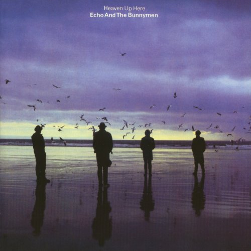 album echo and the bunnymen