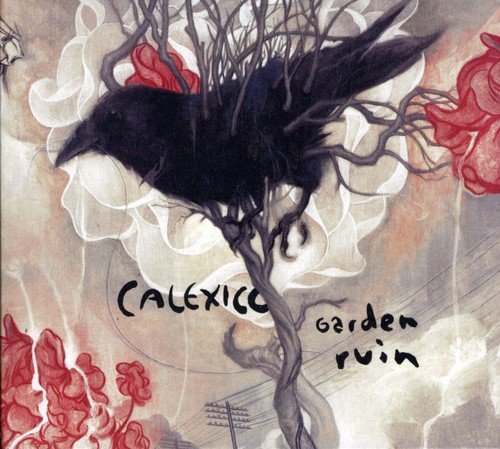 album calexico