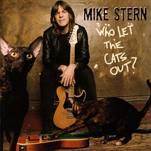 album mike stern