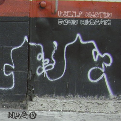 album billy martin and john medeski