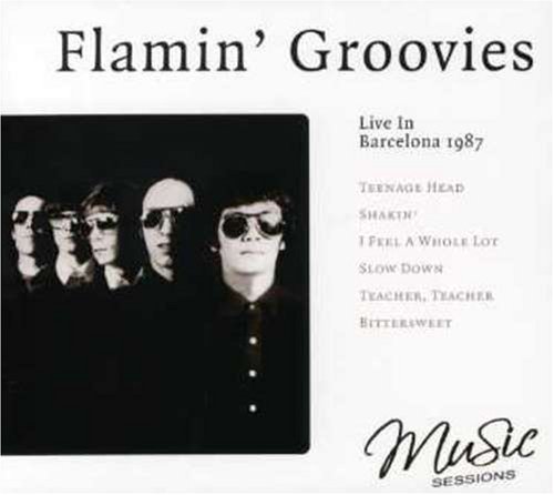 album flamin groovies