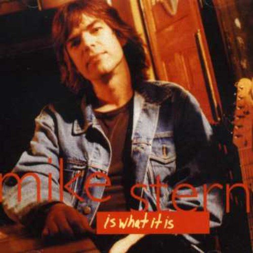 album mike stern