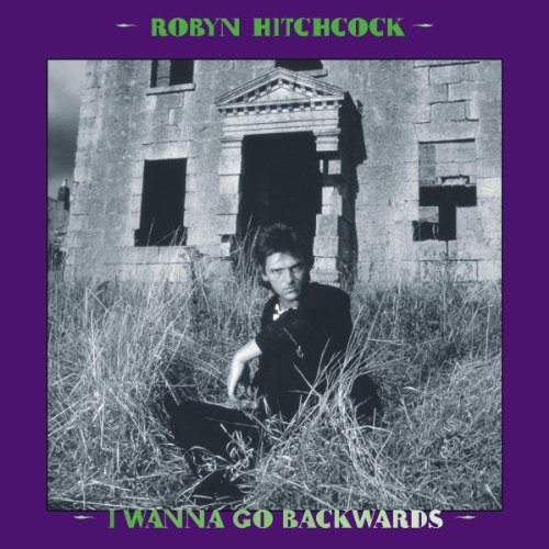 album robyn hitchcock