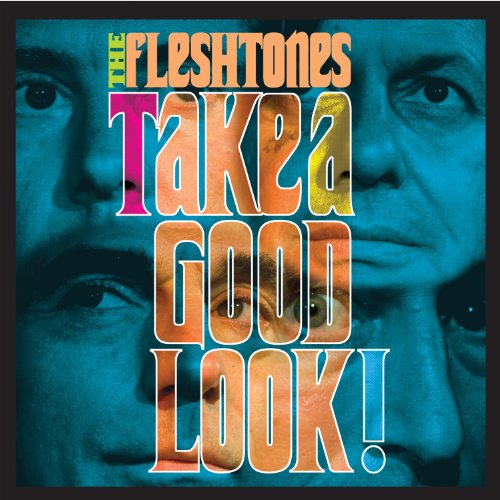 album the fleshtones