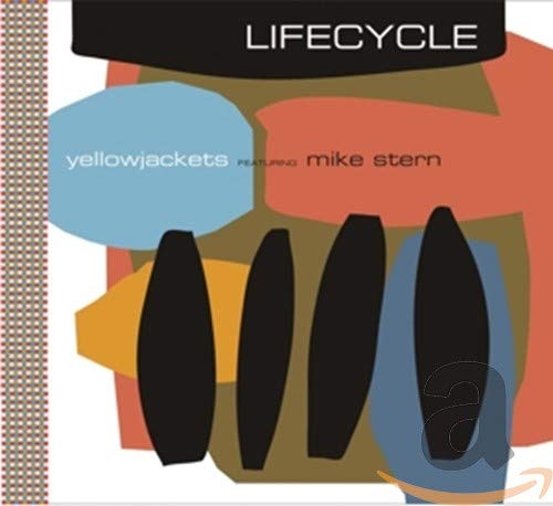 album mike stern