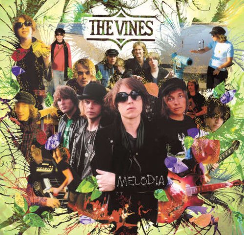 album the vines