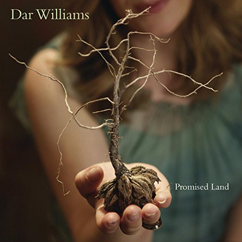 album dar williams