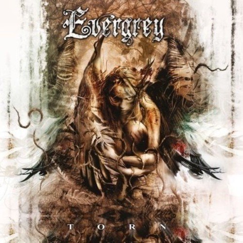 album evergrey