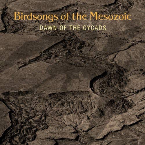 album birdsongs of the mesozoic