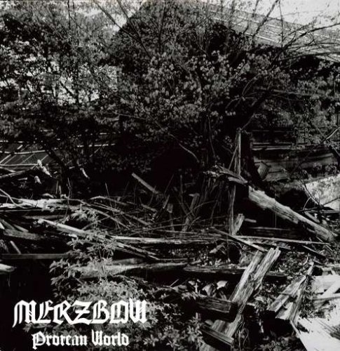 album merzbow