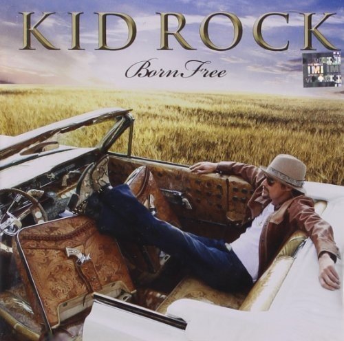 album kid rock