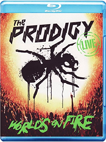 album the prodigy