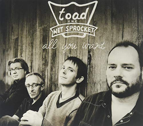 album toad the wet sprocket