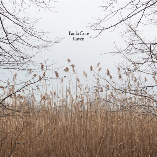 album paula cole