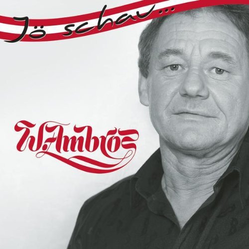 album wolfgang ambros