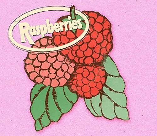 album the raspberries