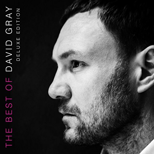 album david gray