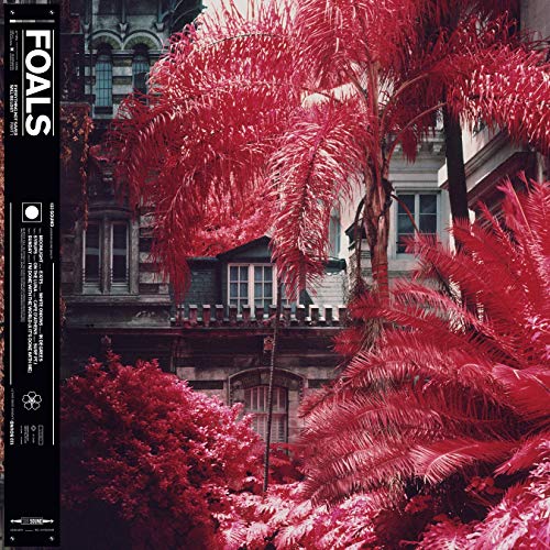 album foals