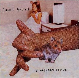 album sonic youth