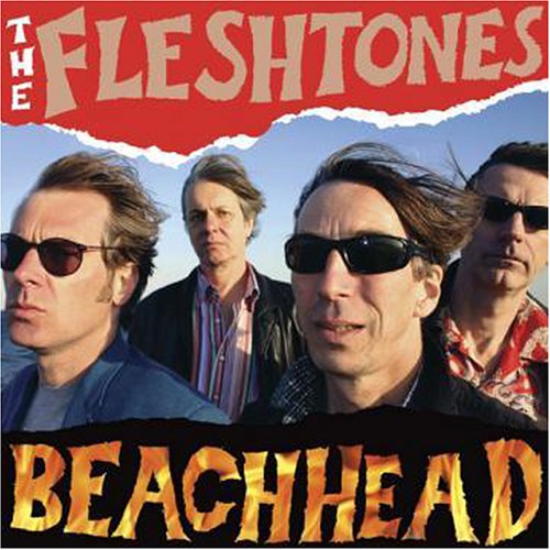 album the fleshtones