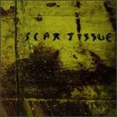 album scar tissue