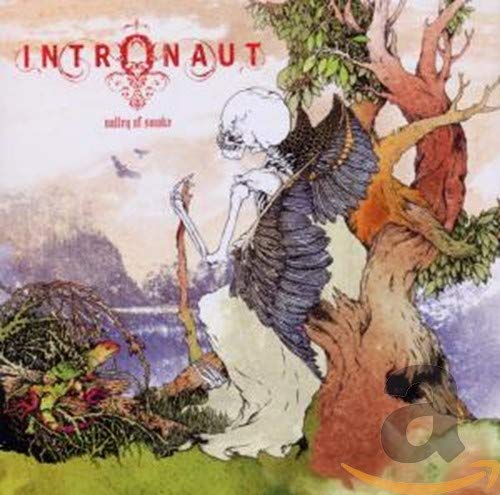 album intronaut