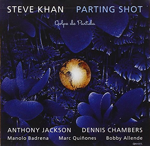 album steve khan