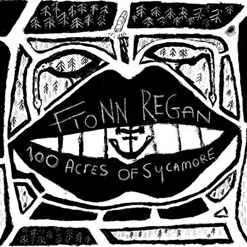 album fionn regan