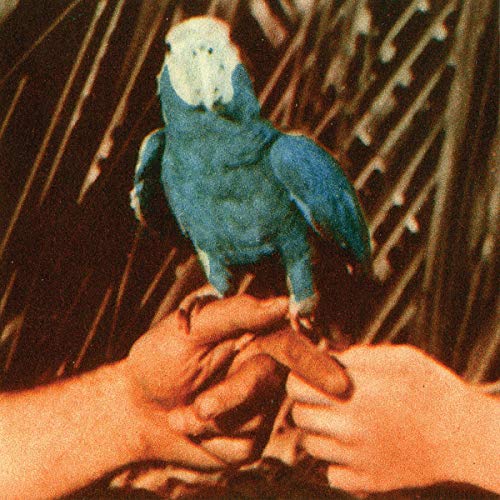 album andrew bird