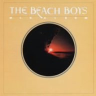 album the beach boys