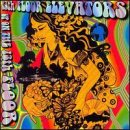 album 13th floor elevators