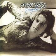 album andy gibb