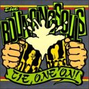 album the bouncing souls