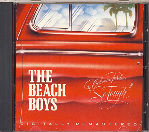 album the beach boys